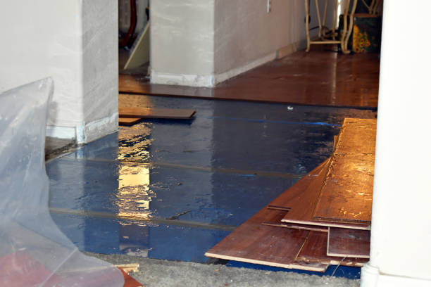 Professional Basement Flood Cleanup technician working in Young, AZ