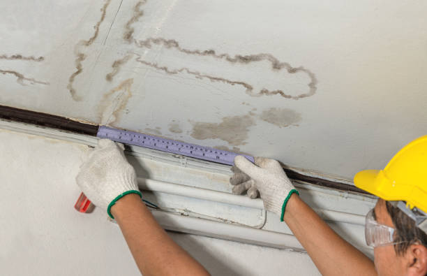 Reliable Basement Flood Cleanup contractor in Young, AZ by Aqua Guard Water Damage
